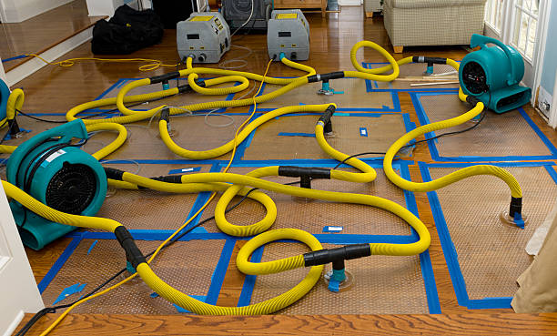Professional Structural Drying And Dehumidification technician working in Hart, MI